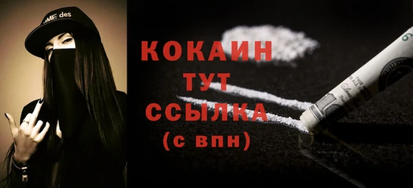 прущие грибы Нея