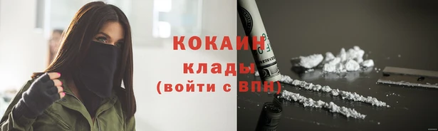 прущие грибы Нея
