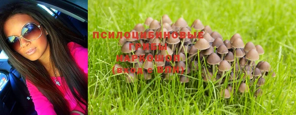 соль курить ск Новозыбков