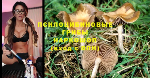 spice Навашино