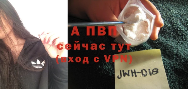 соль ск Надым