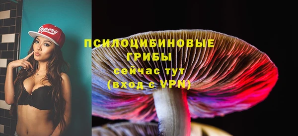прущие грибы Нея